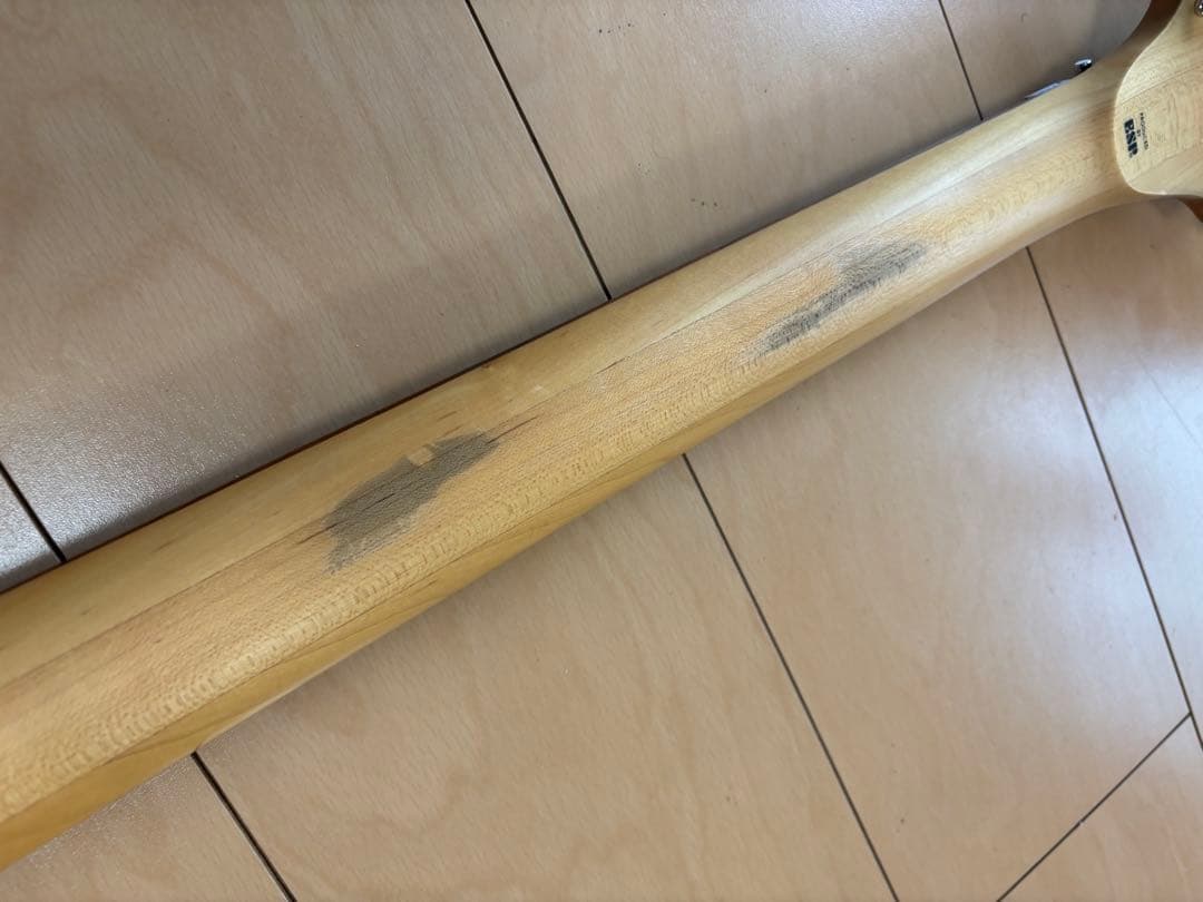 Edwards製 syuモデル crying star E-CS-160