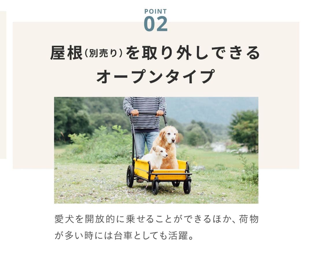 AIRBUGGY キャリッジ