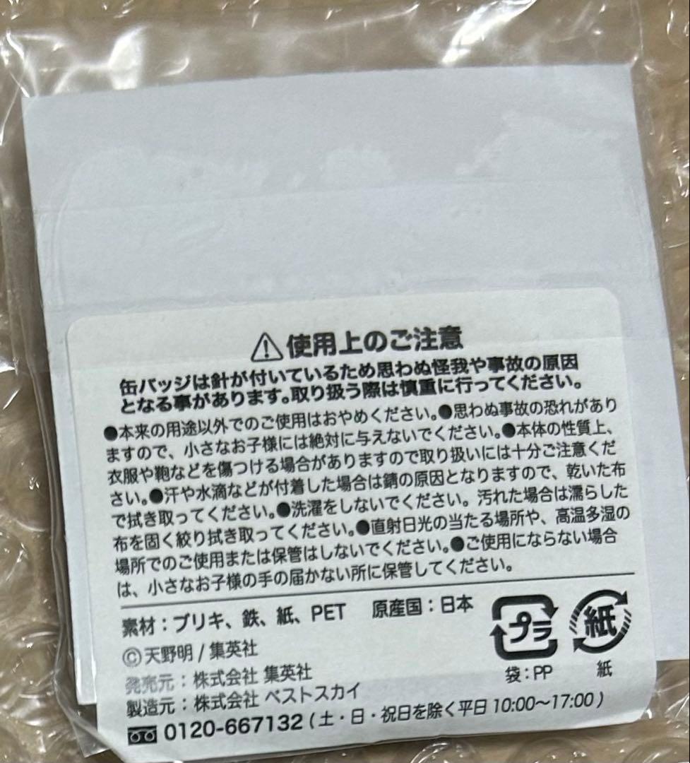 REBORN　JF2018　特典　缶バッジ 六道骸　クローム髑髏