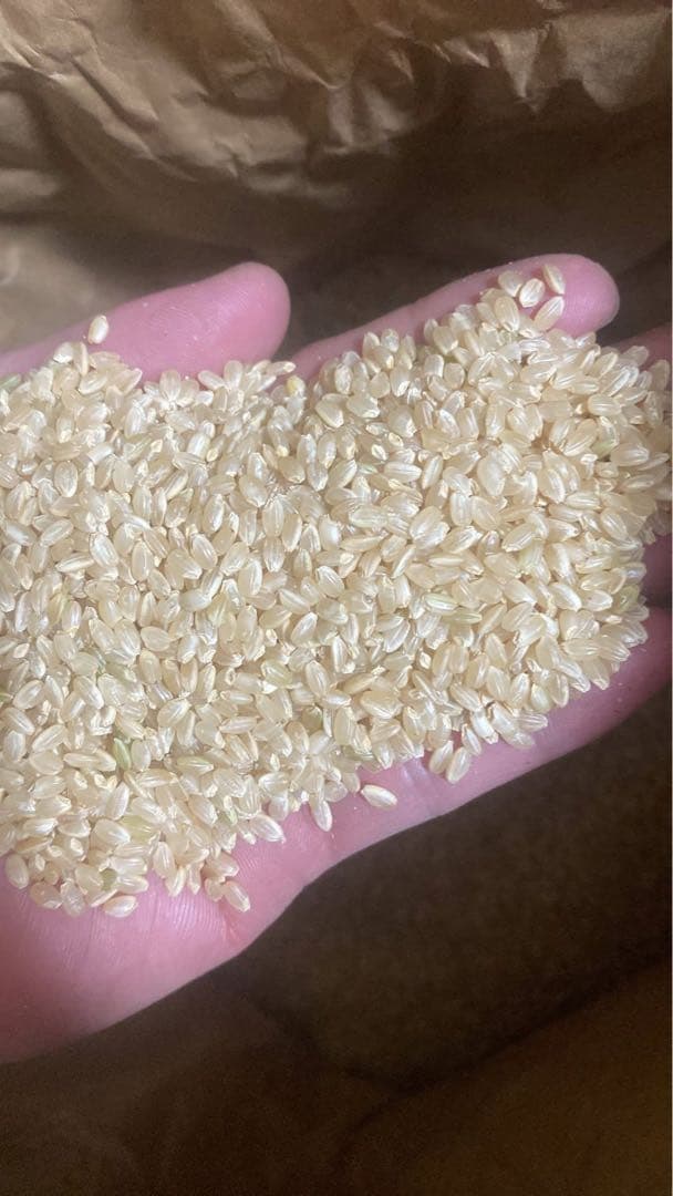 R7 新米　コシヒカリ　玄米30キロ　送料込み