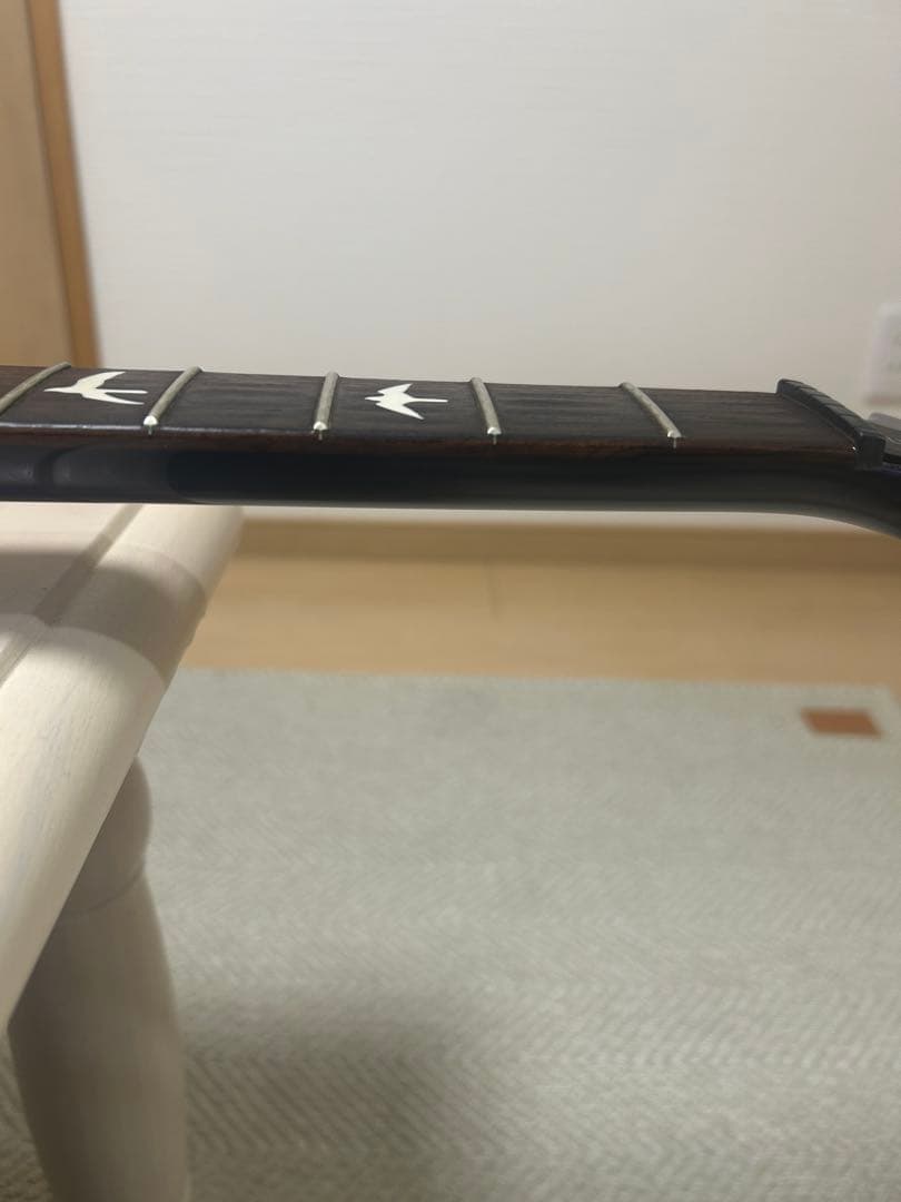 ギター Paul Reed Smith S2 Custom 24 prs s2