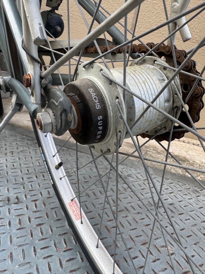 アイルトンセナ自転車