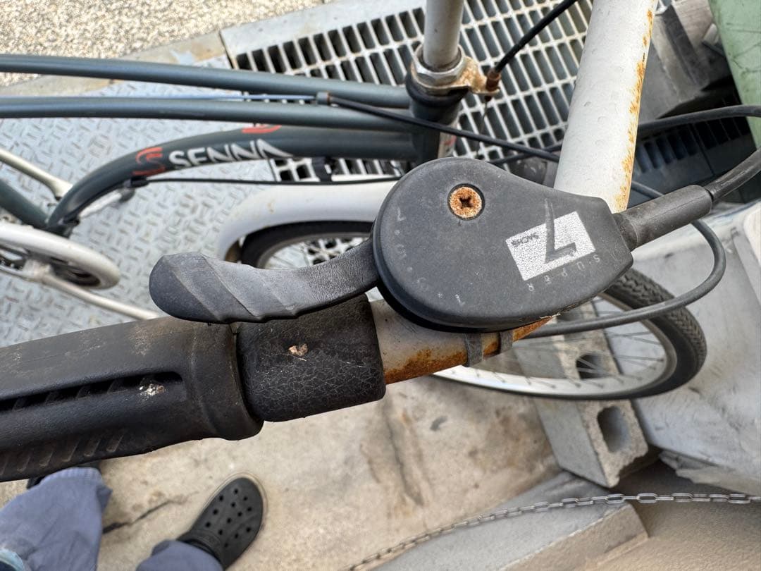 アイルトンセナ自転車