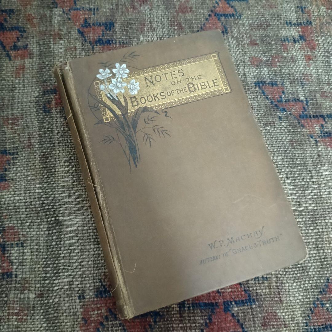 アンティーク　ヴィンテージ　洋書　まとめ 10冊　赤系