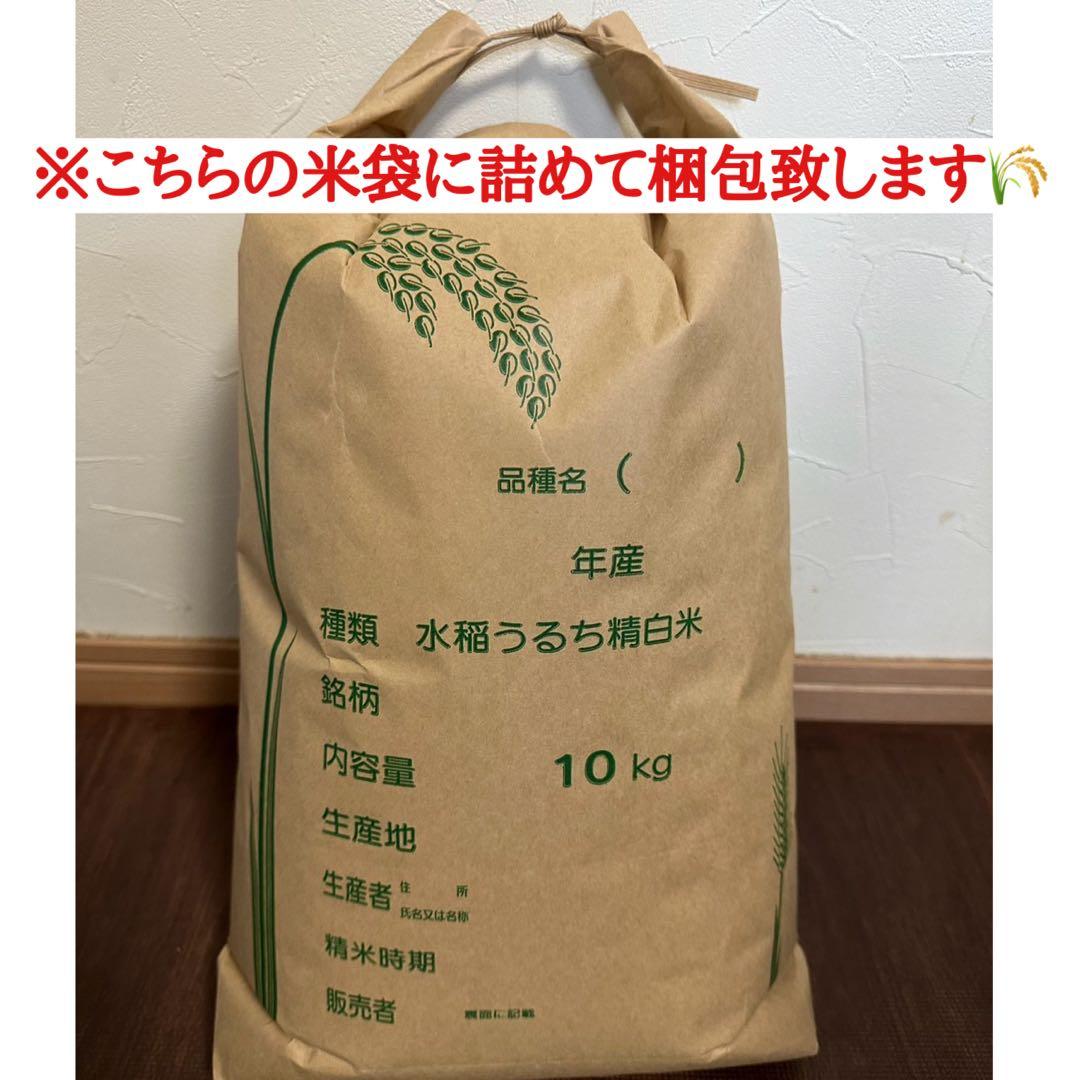令和7年石川県産　農家のお米　こしひかり　玄米　10キロ
