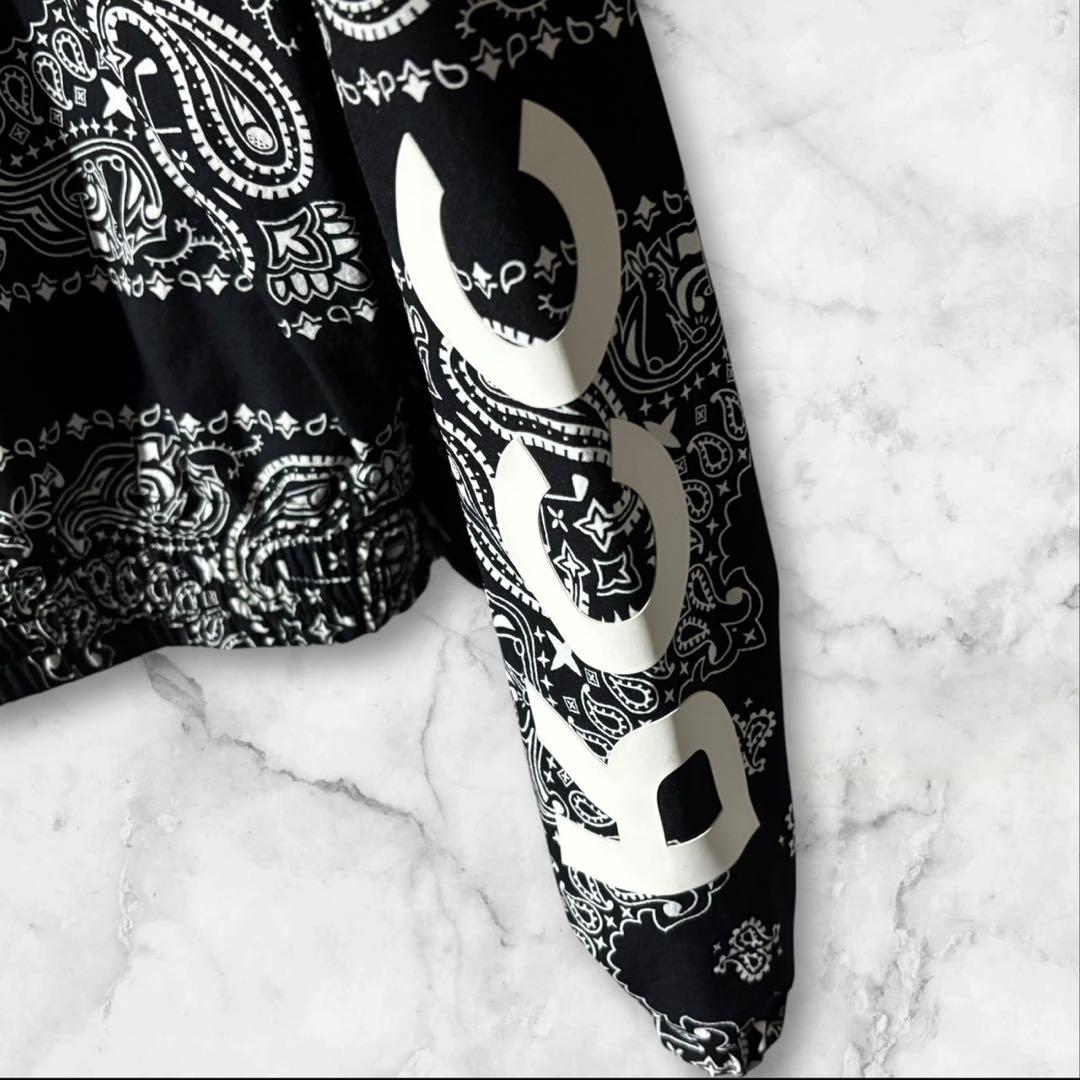 FR2 GOLF ゴルフ ペイズリー ウェア ピステ プルオーバー メンズ