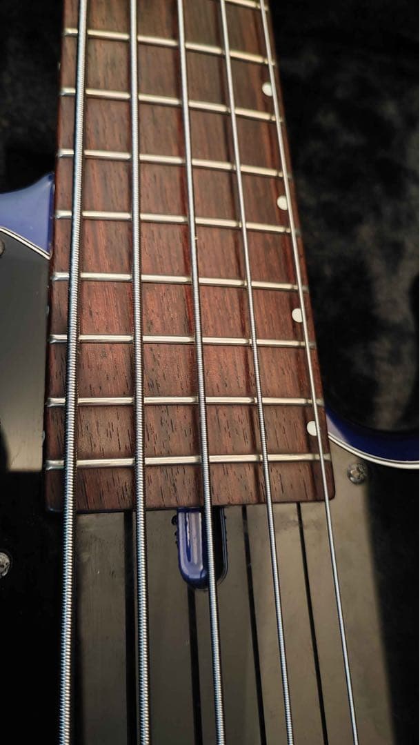 ベース Wood Custom Guitars Vibe Std-5 19pitch