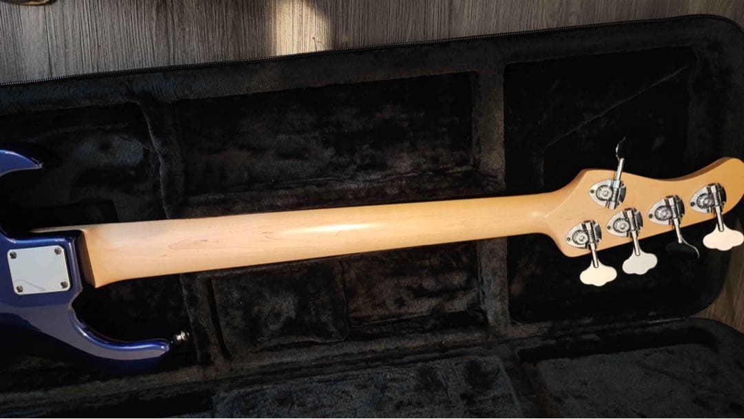 ベース Wood Custom Guitars Vibe Std-5 19pitch