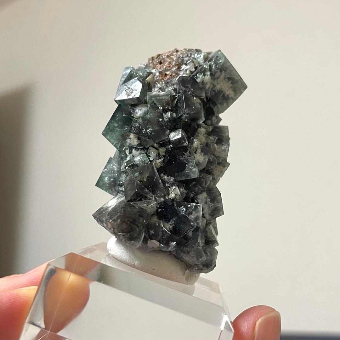 Diana Maria mine Smoky Rabbit Pocket 蛍石