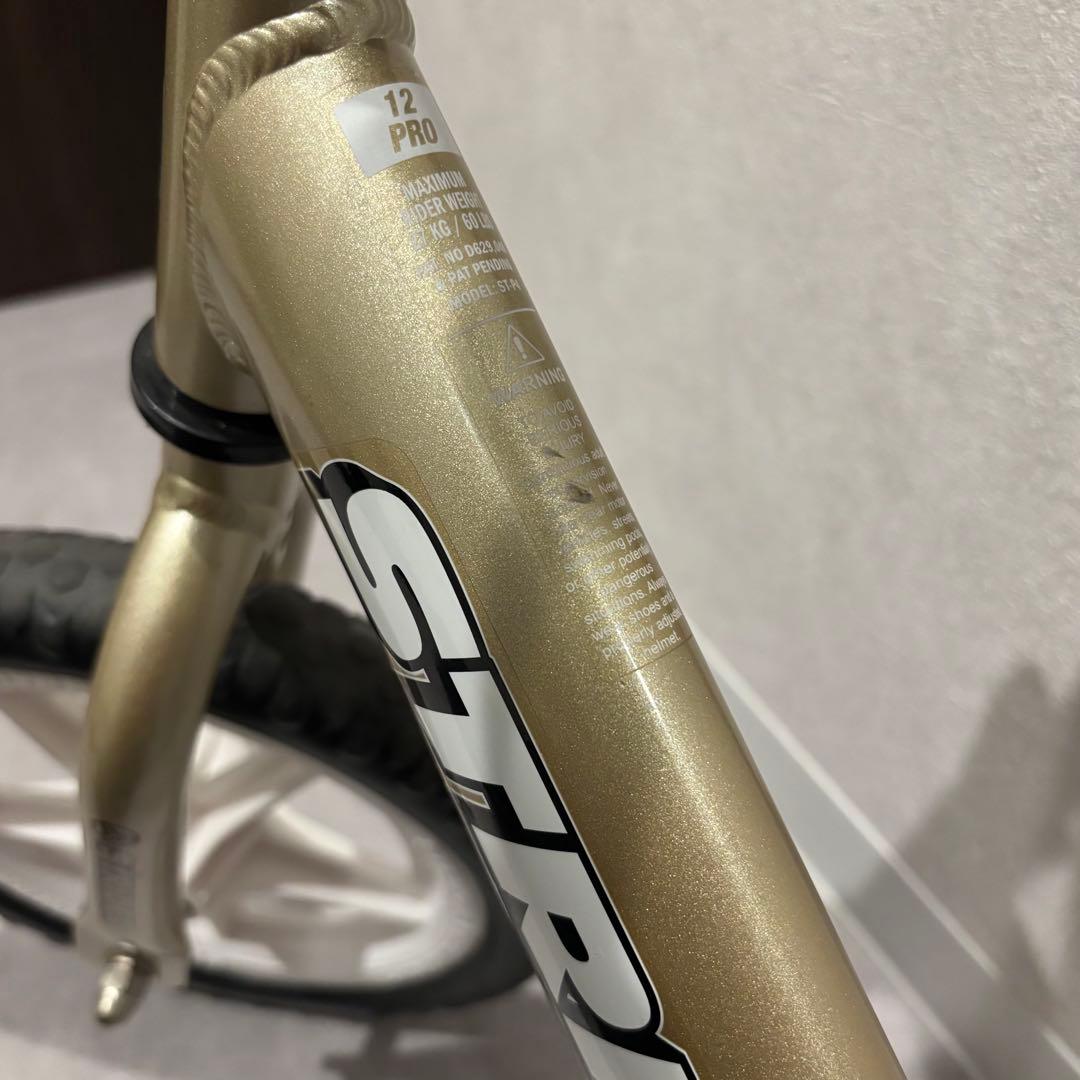 【美品】10周年限定カラー STRIDER PRO ゴールド