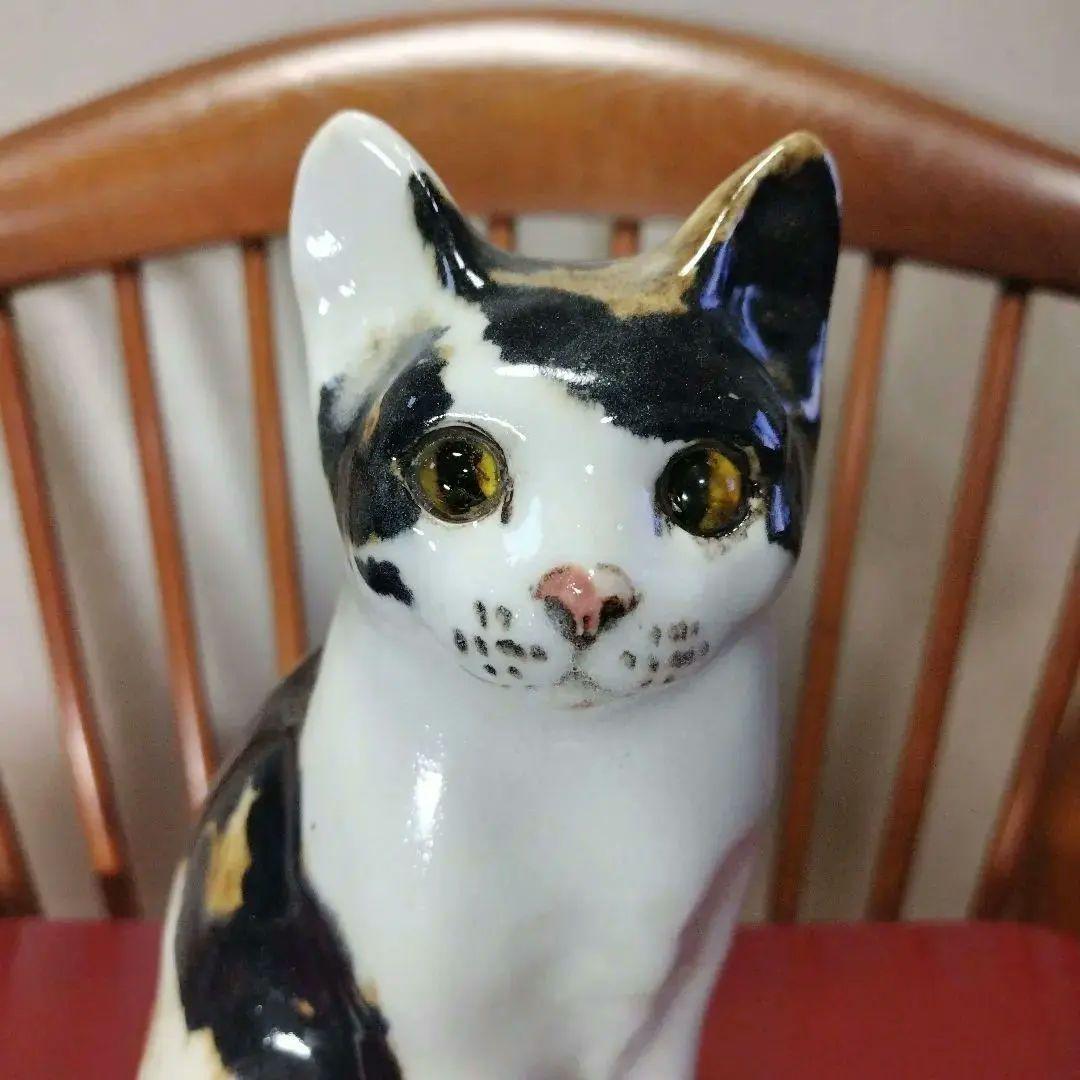 売約済、ウィンスタンレイキャット（ケンジントンキャット）サイズ４&２の２匹セット