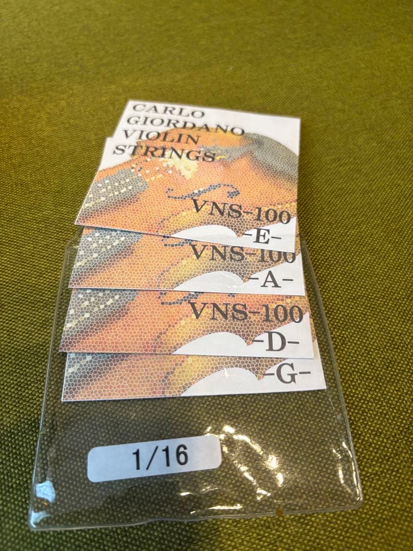 1/16サイズ　VS-F1 カルロジョルダーノ　分数バイオリン セット