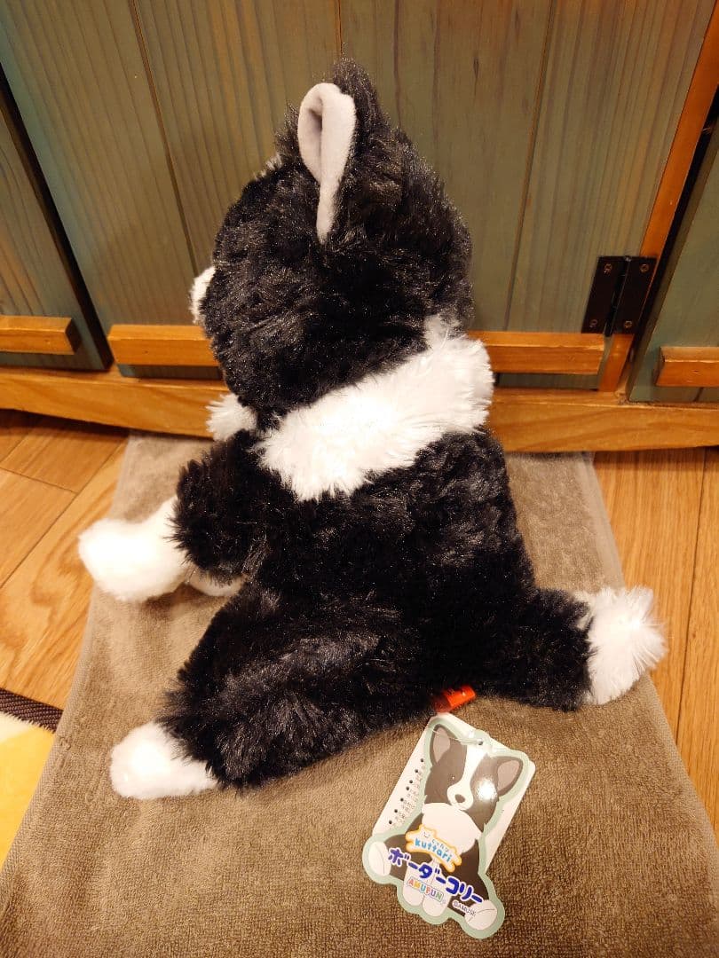 くったりボーダーコリー【新作】おりこうさん  ノワール JB