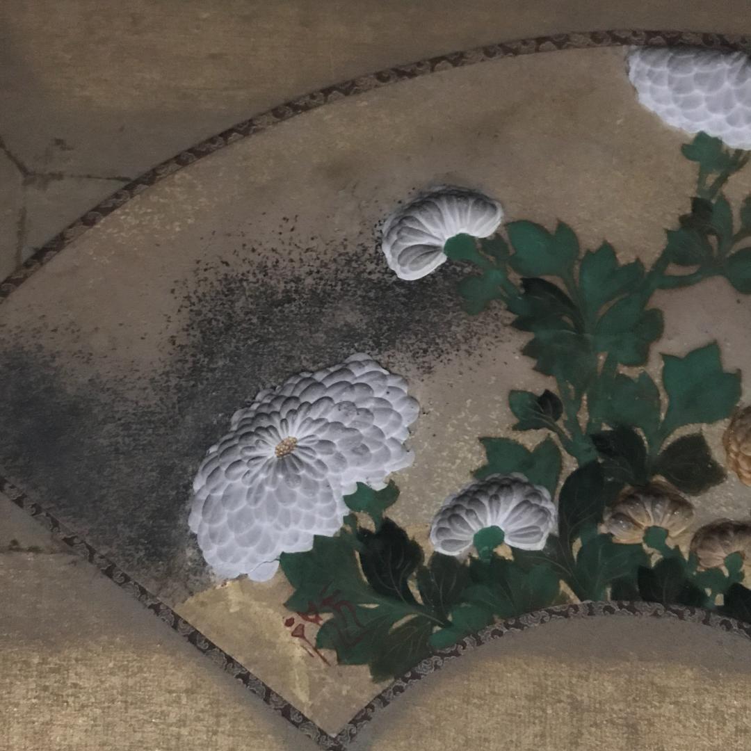 尾形光琳/菊花之図/扇面菊図/日本画/額/掛軸/掛軸/名家伝来/Y-838