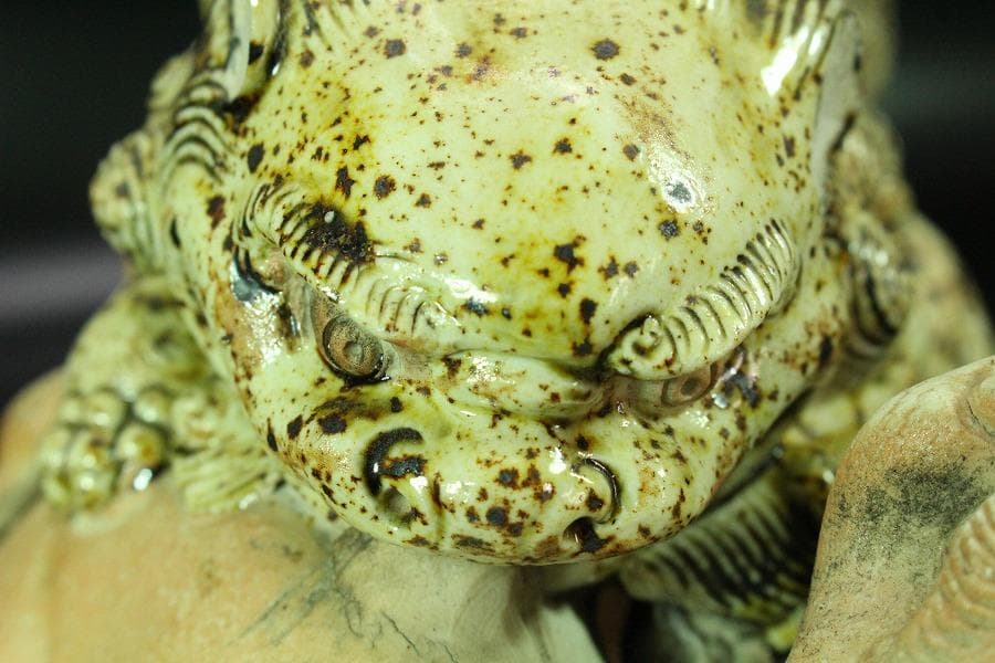 白備前 双獅子 置物 骨董 古美術 在銘(K-YC509)