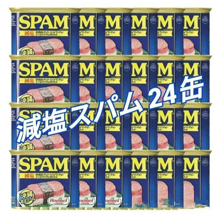 【賞味期限長め】スパム　SPAM　減塩　ポーク　24缶セット