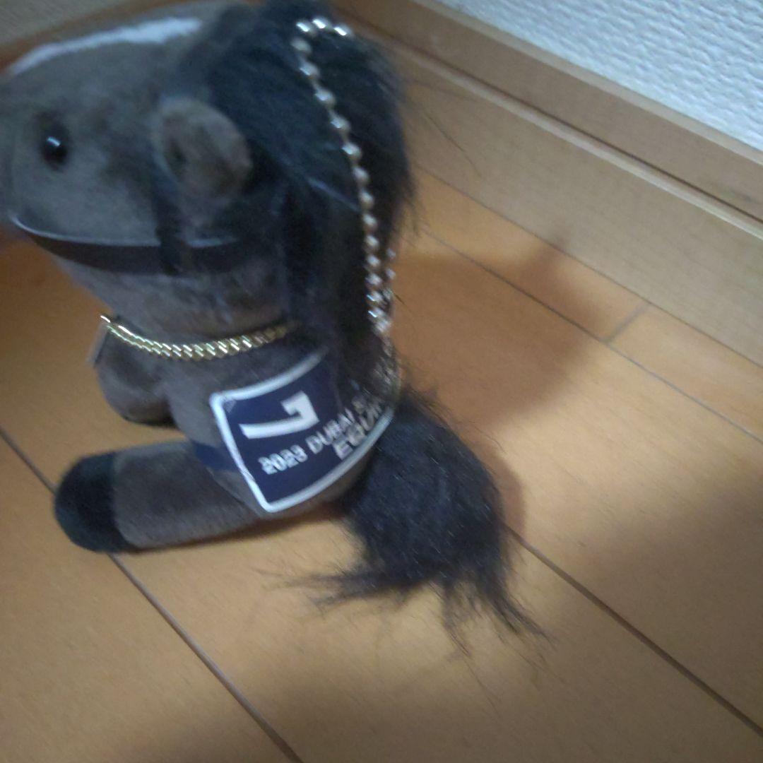 イクイノックス初回限定盤　入手困難　Ｓサイズ