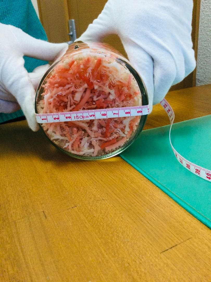 本珊瑚 桃色珊瑚　瓶詰め 原木 枝 置物　インテリア　ピンクサンゴ　コーラル