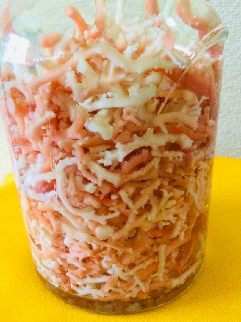 本珊瑚 桃色珊瑚　瓶詰め 原木 枝 置物　インテリア　ピンクサンゴ　コーラル