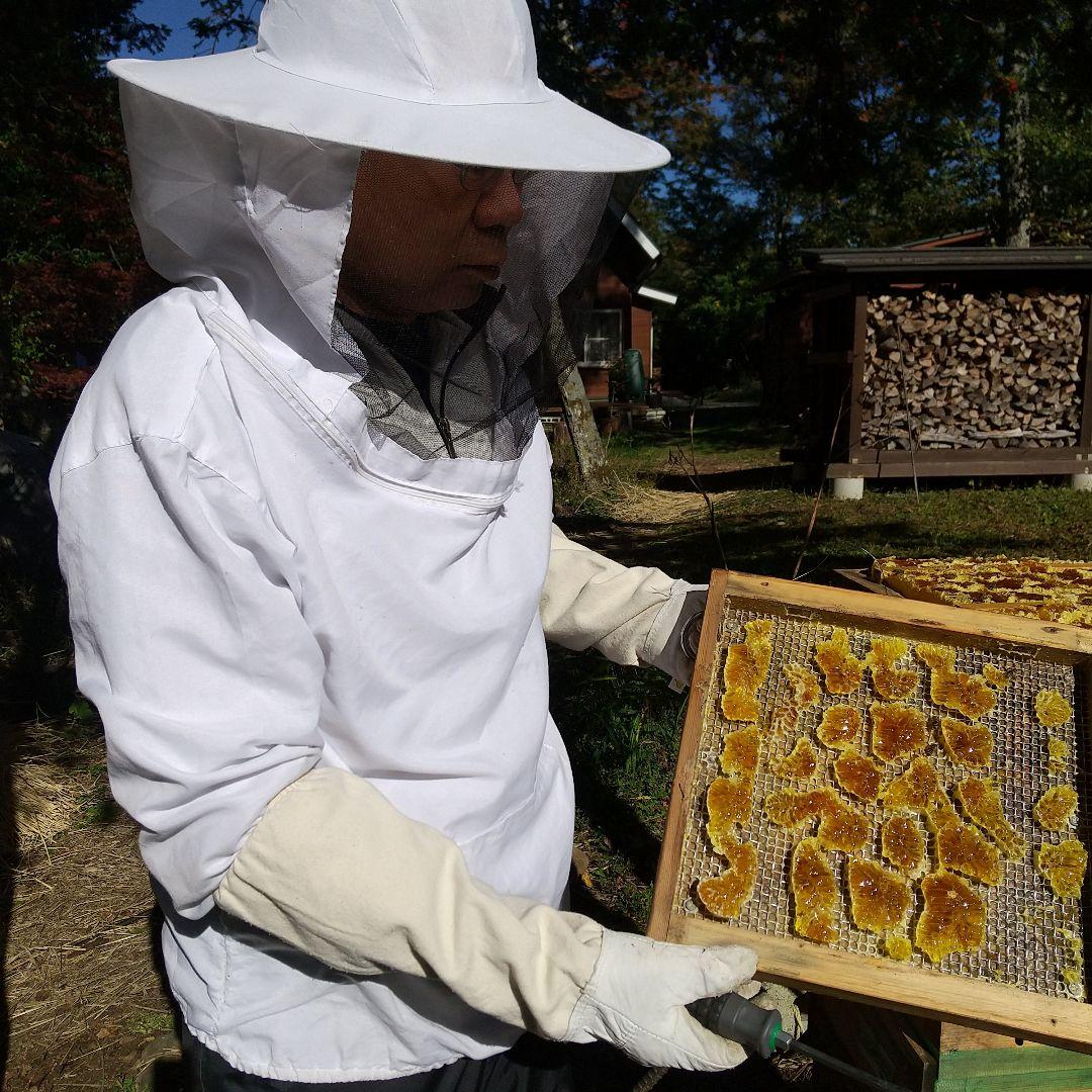 日本蜜蜂 天然ハチミツ 1160g八ヶ岳西麓1250m