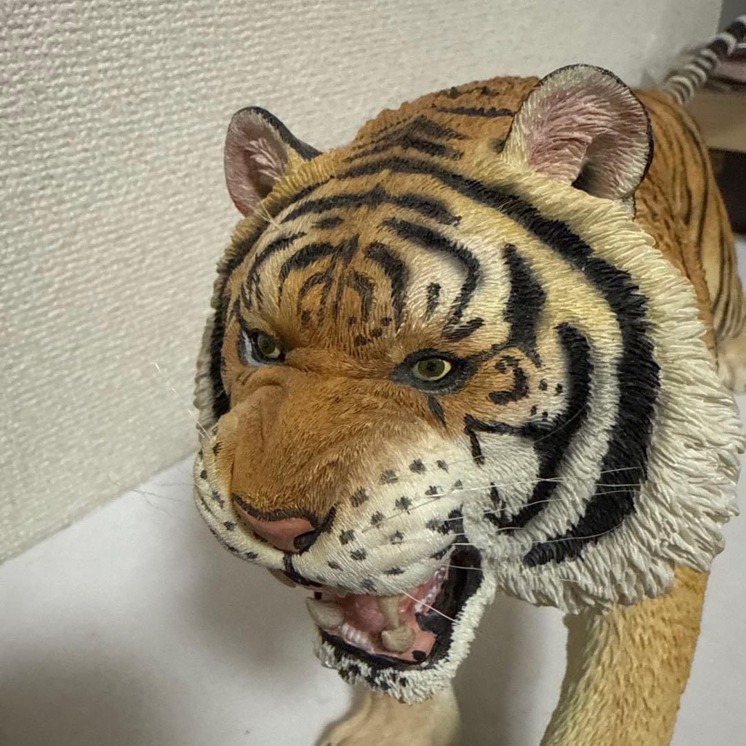 1/6 アムールトラ PTA001 イエロー[MR.Z]