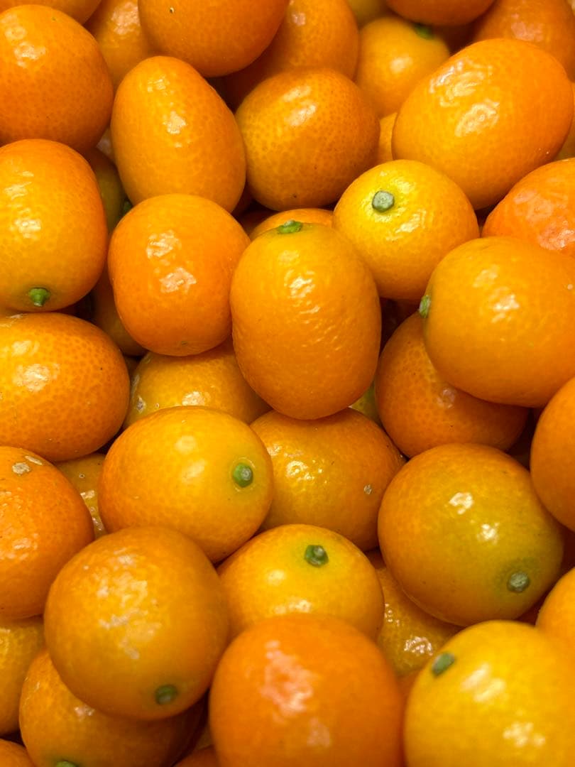 宮崎県産　ロジ金柑　箱込10キロ　2Lサイズ　d