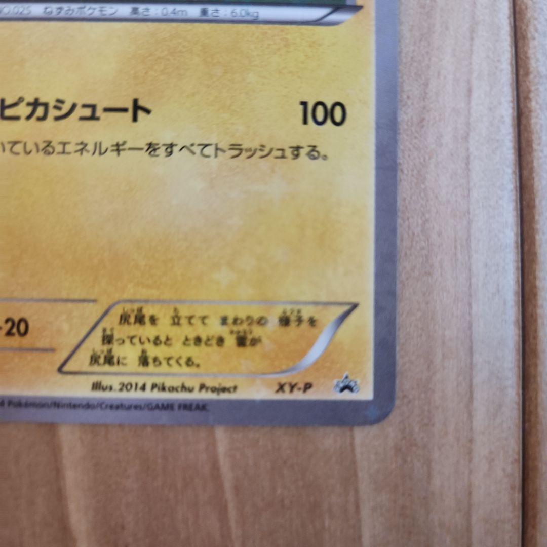 XY-P ピッチのピカチュウ_Jリーグ「ファミリー Joinデイズ」 PROM…