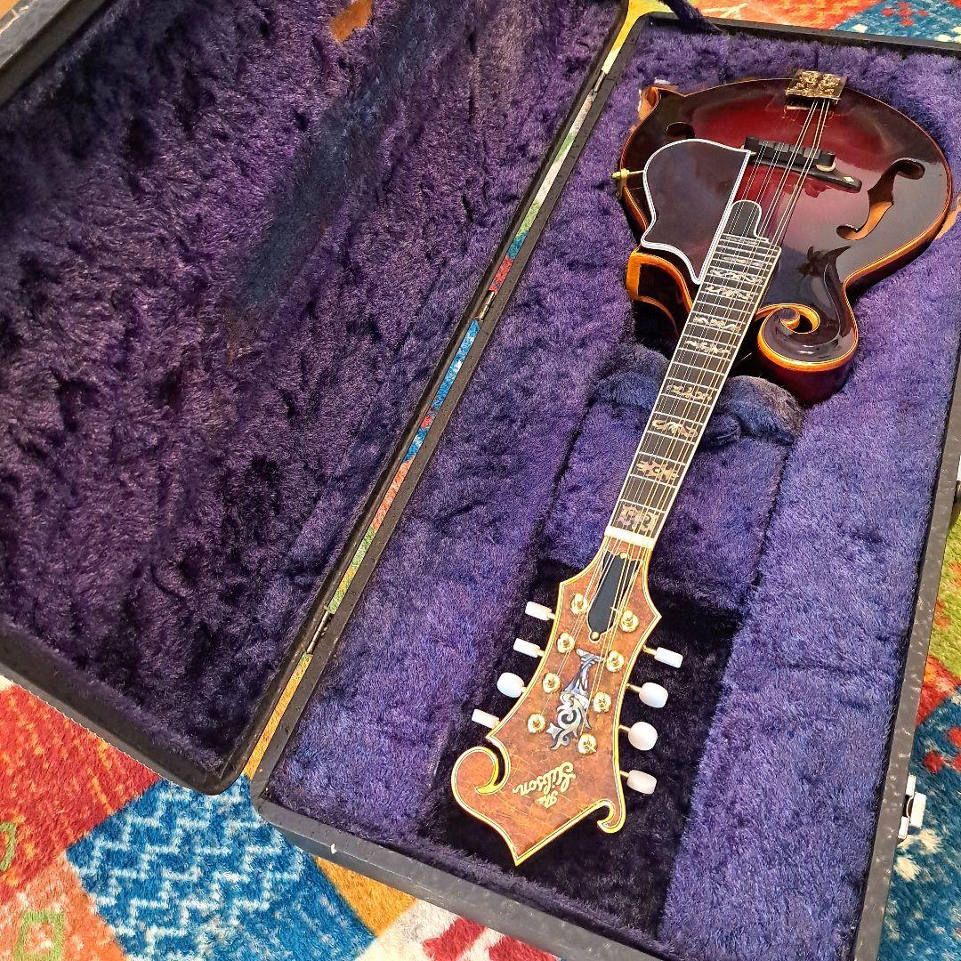超希少！アイバニーズ 524ヴィンテージ、フラットマンドリン！