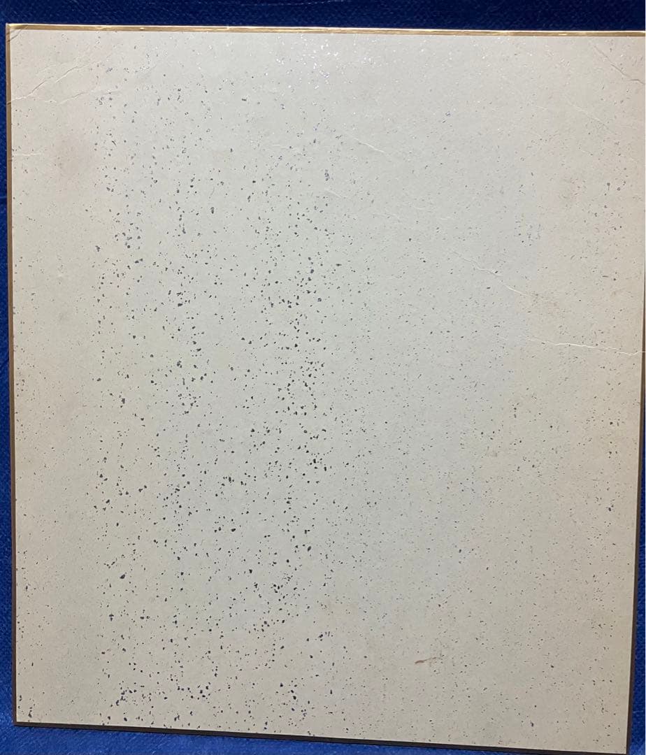 天野喜孝　肉筆　カラー彩色イラストサイン色紙　天使のたまご　一点もの　限定非売品