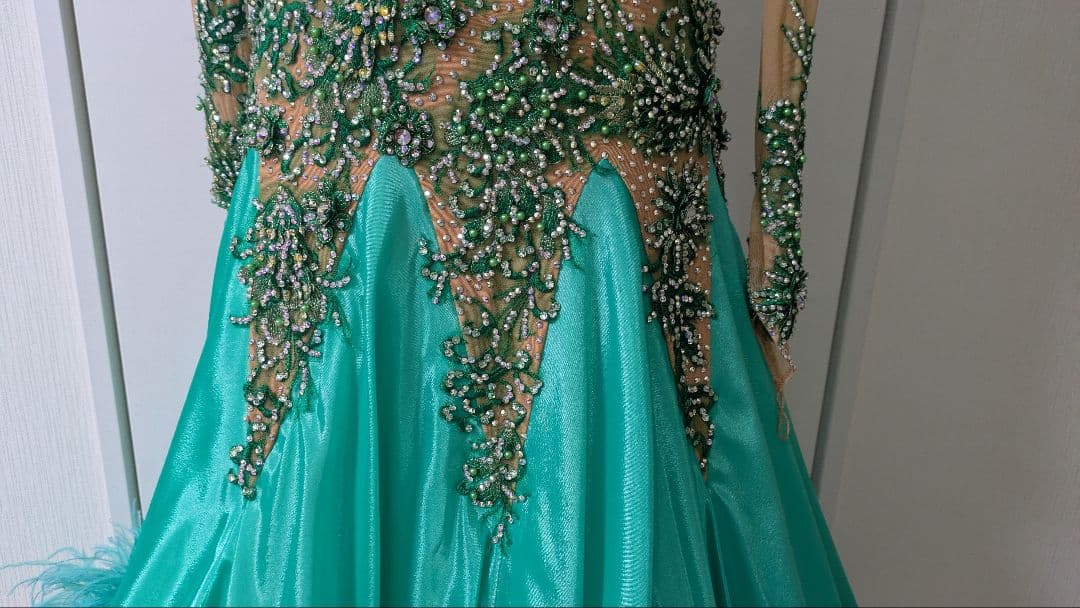 社交ダンス　スタンダードドレス　Felicia製