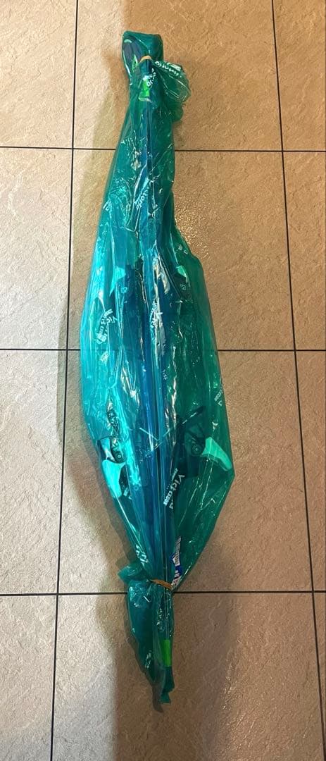 サロモン SALOMON S/RACE スキー板 130cm + ビンディング