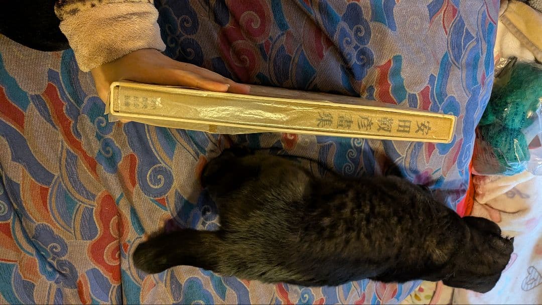 安田靫彦　畫集