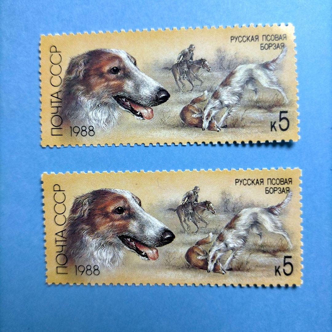 3129 外国切手 旧ソ連 1988年 狩猟犬 4種2組