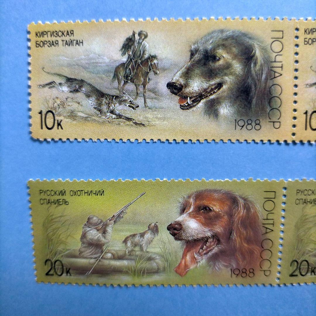 3129 外国切手 旧ソ連 1988年 狩猟犬 4種2組