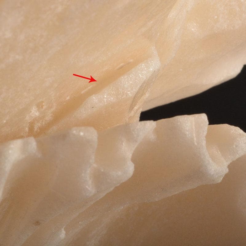 中国　玉石白玉彫刻　白菜　置物　飾台付　C　6846