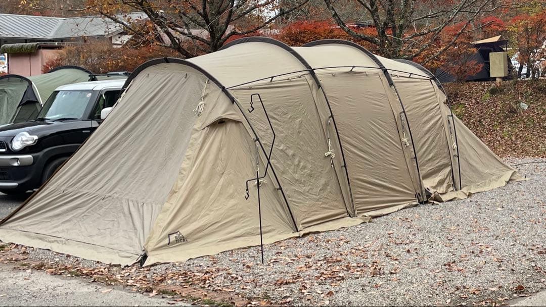 サバティカル　アルニカ