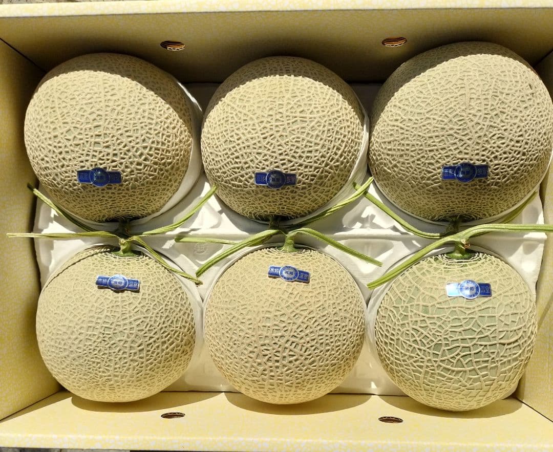 ぽ*れ様 最終　高知産　約９，０ｋｇ温室マスクメロン　６玉　A品　北海道沖縄発送