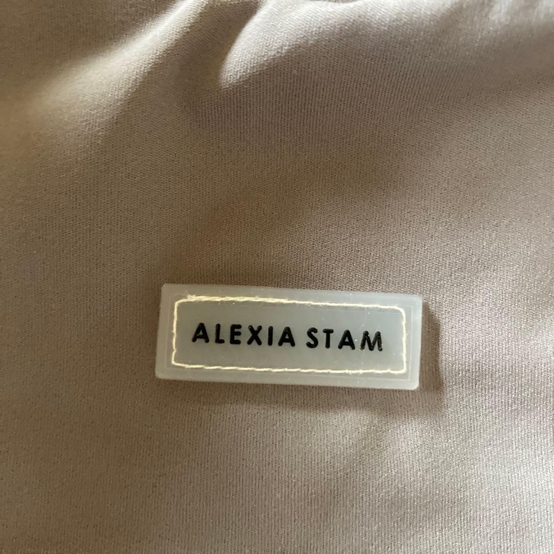 ALEXIA STAM グレー色　ヨガウェア上下セット Mサイズ