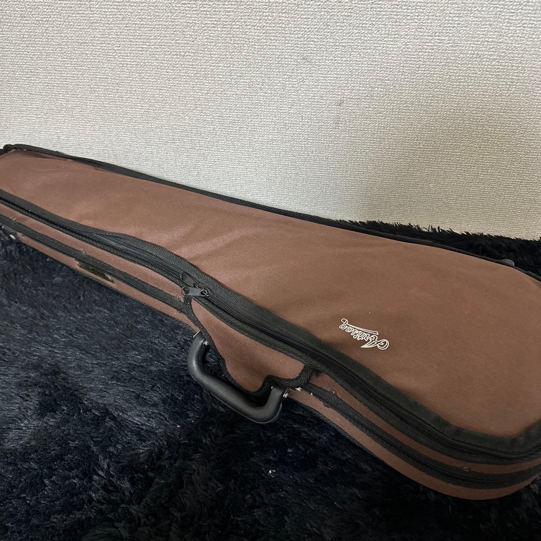 Carlo Giordano EV-202 エレキバイオリン 弦楽器 ケース付属