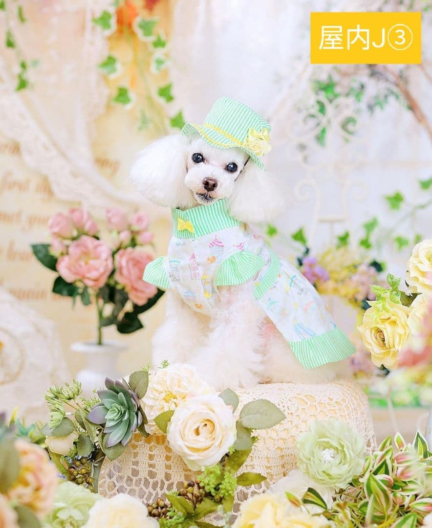 背景布　【　紫陽花A　】　サンプル　ニューボーンフォトなどに♪