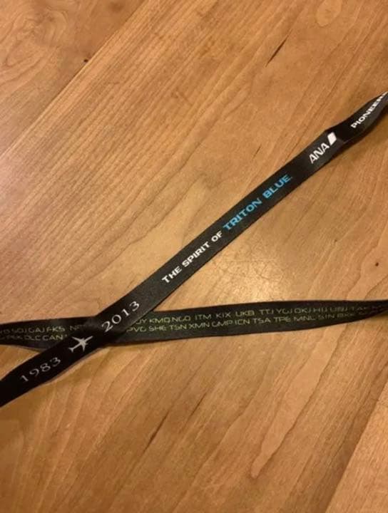 ANA ネックストラップ 767 30TH ANNIVERSARY