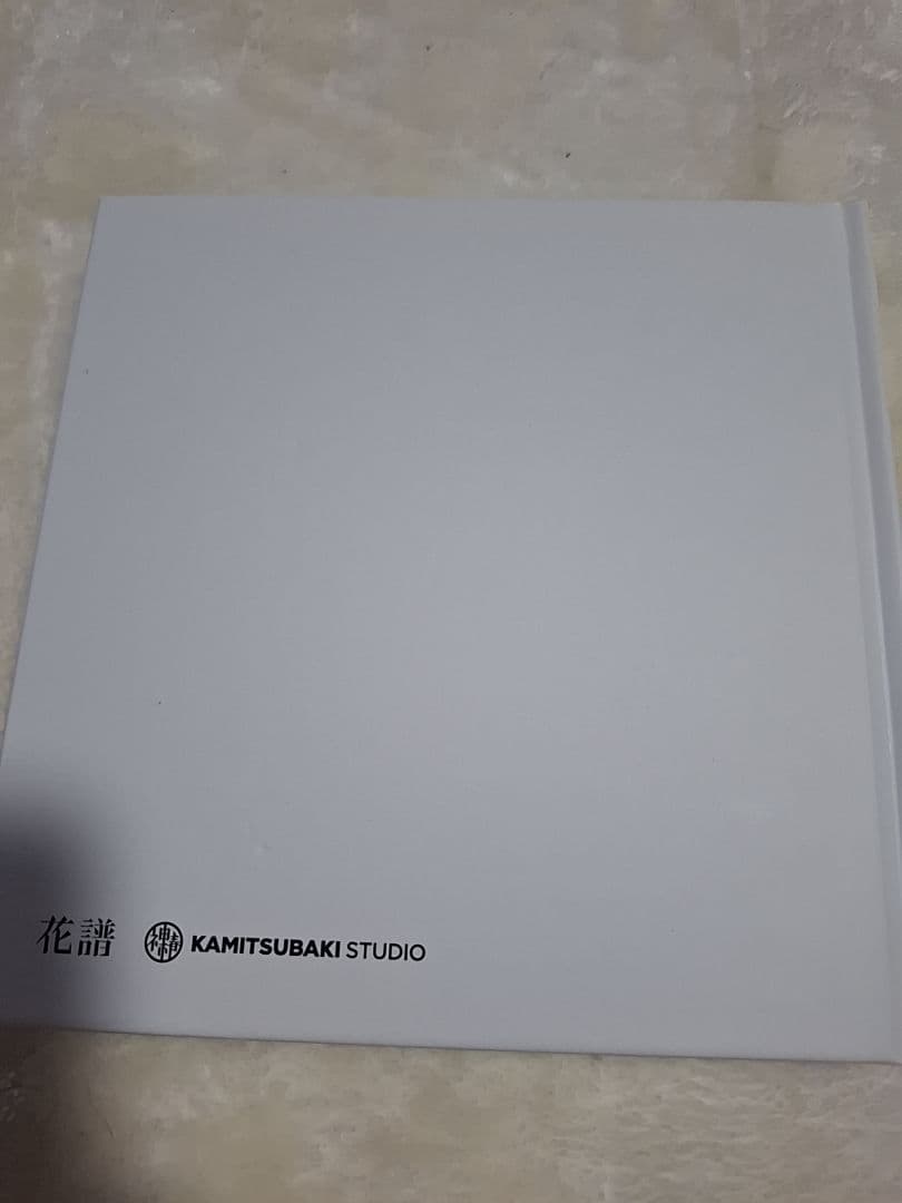 Among 花諷 写真集 KAMITSUBAKI STUDIO