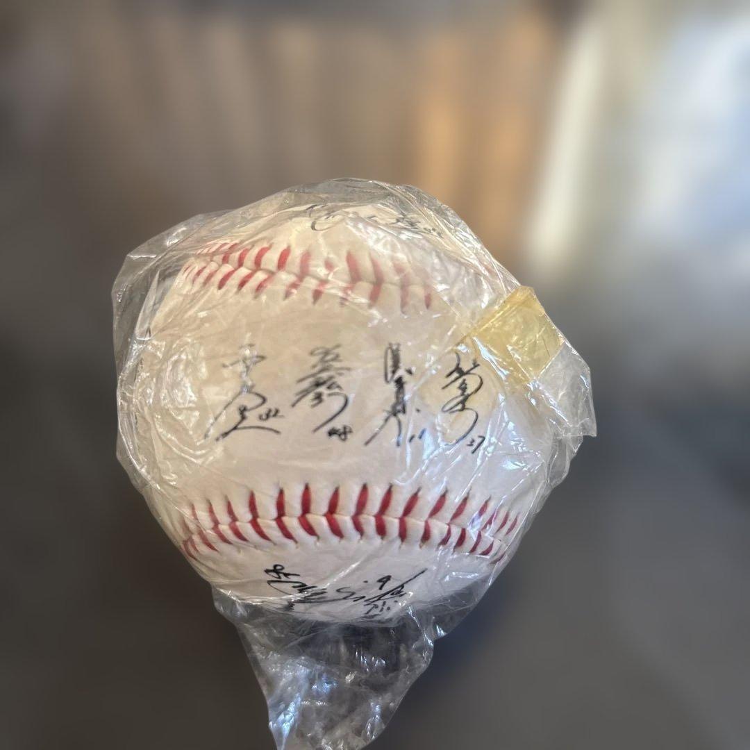 1991年 CARP セントラルリーグチャンピオンシップ 優勝記念ボール