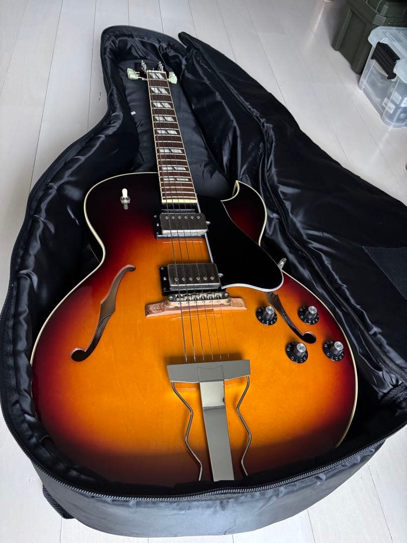 ギター Archtop Tribute AT205MD/LFD Sunburst