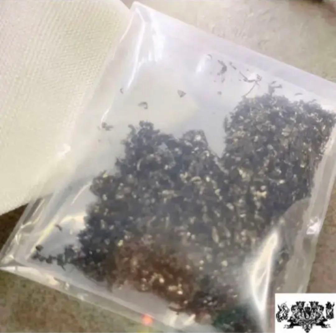 本物の流れ星の粉✨✨✨⭐隕石️⭐️✨✨✨