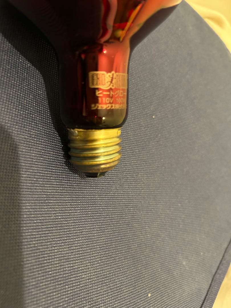 メルカリ市限定価格　EXOTERRA 爬虫類飼育セット