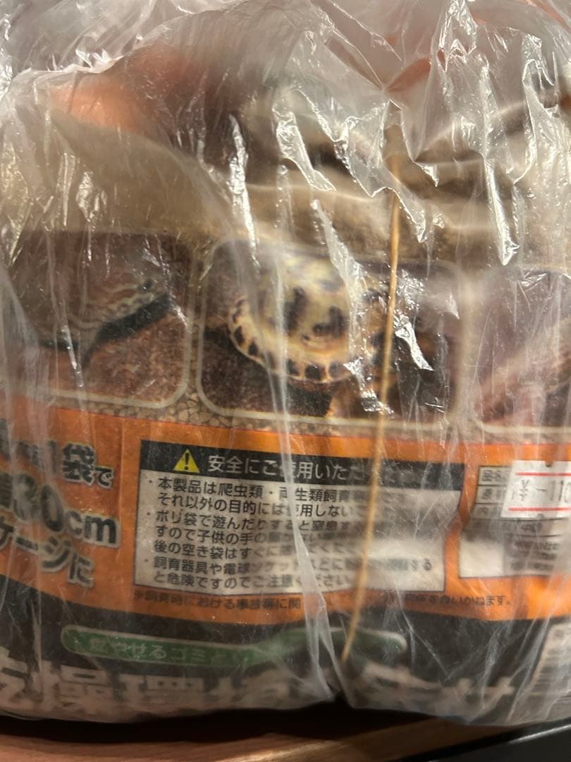 メルカリ市限定価格　EXOTERRA 爬虫類飼育セット