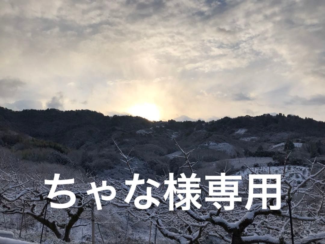 ちゃな　和田果樹園の果物10kg