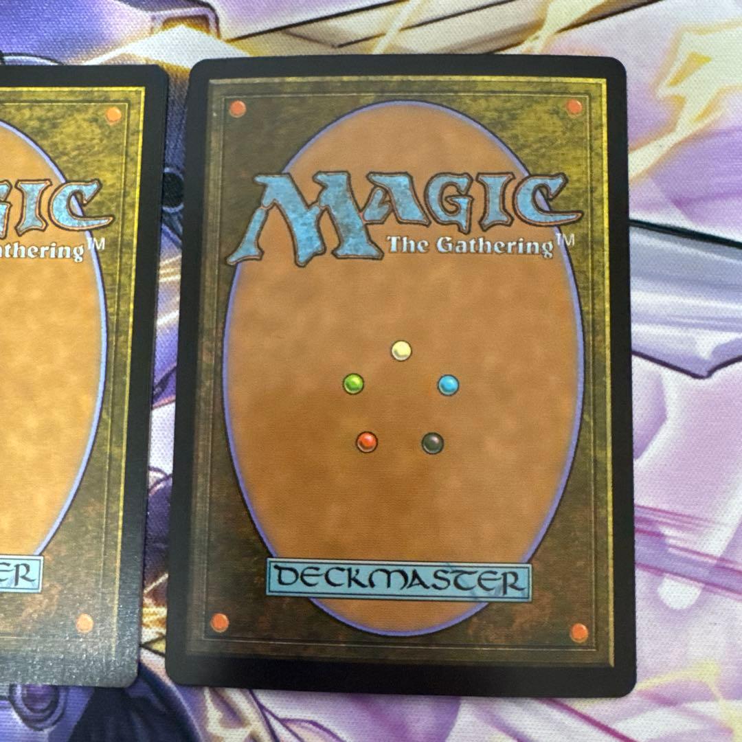 MTG ボーダーレス　樹木茂る山麓　英語Foil2枚