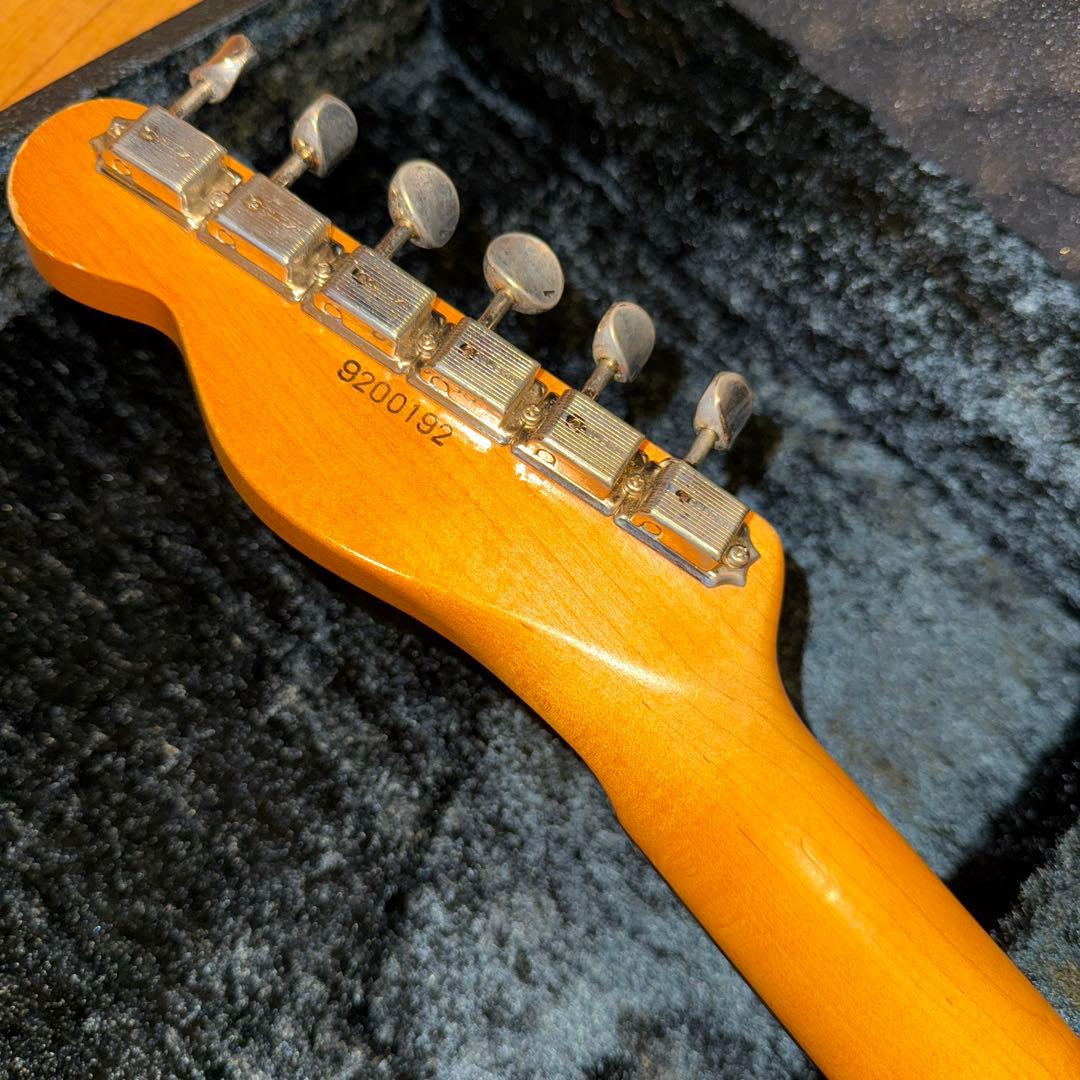 2019年製 ESP Navigator N-TE-CTM / Black